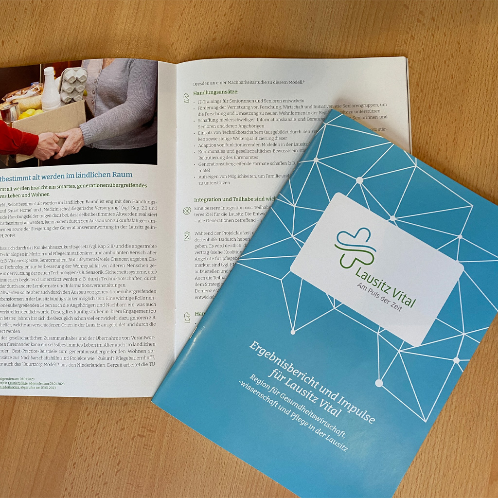 Das Netzwerk Lausitz