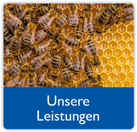 2017 ENO unsere Leistungen